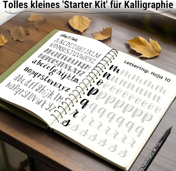 Kalligraafia pliiatsite komplekt - 12 erineva otsaga pliiatsit - Image 3